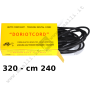 Doriot Elastic Belt